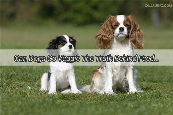 Can Dogs Go Veggie The Truth Behind Feeding Your Pooch Raw Vegetables